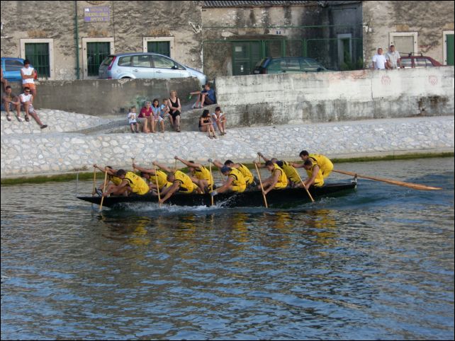 brzinska (33)